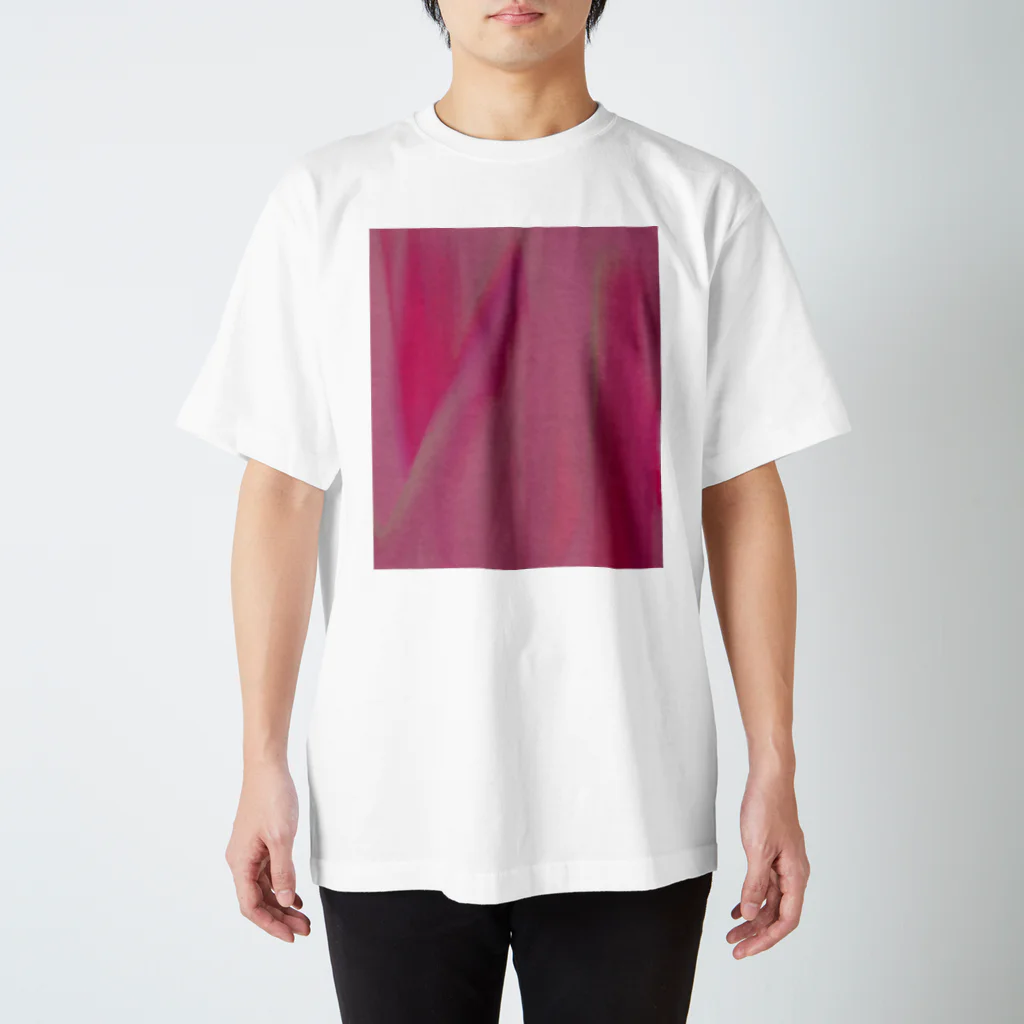 納豆ごはんのストロベリー Regular Fit T-Shirt