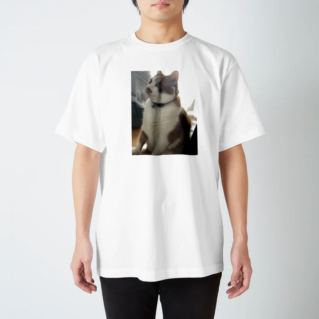 姫子のベロ出し猫ちゃん Regular Fit T-Shirt