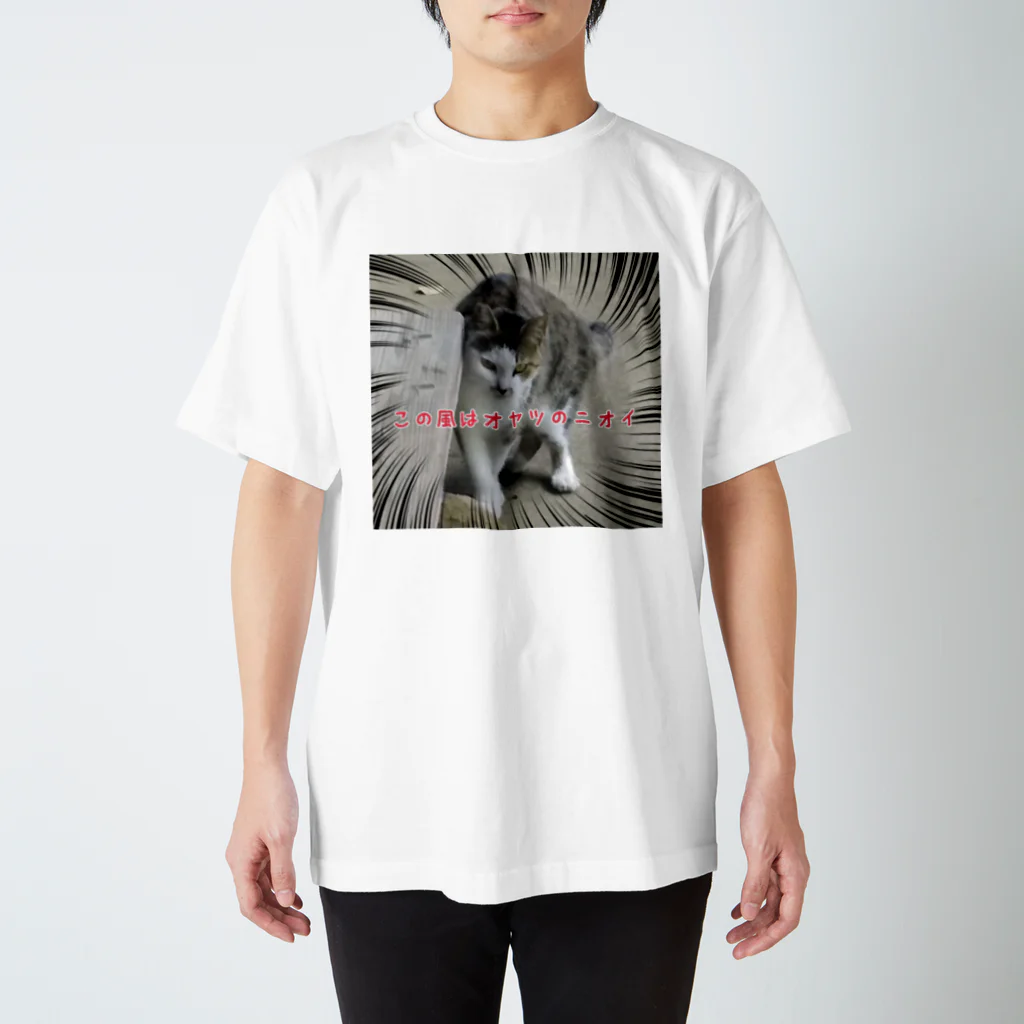 ひなたのにゃんこの杉山にゃんず　鍵しっぽのkeyちゃん Regular Fit T-Shirt