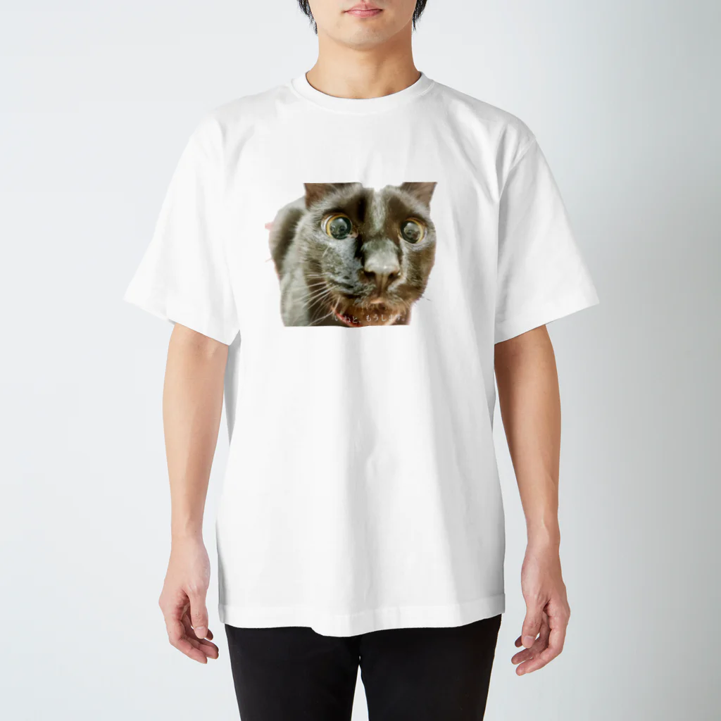 保護猫本舗★のいねグッズ Regular Fit T-Shirt