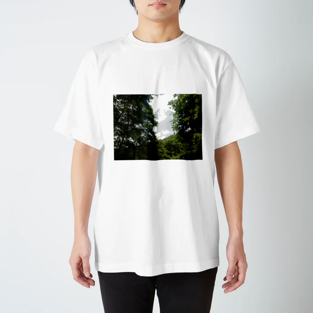 モニアショップの緑　写真 Regular Fit T-Shirt