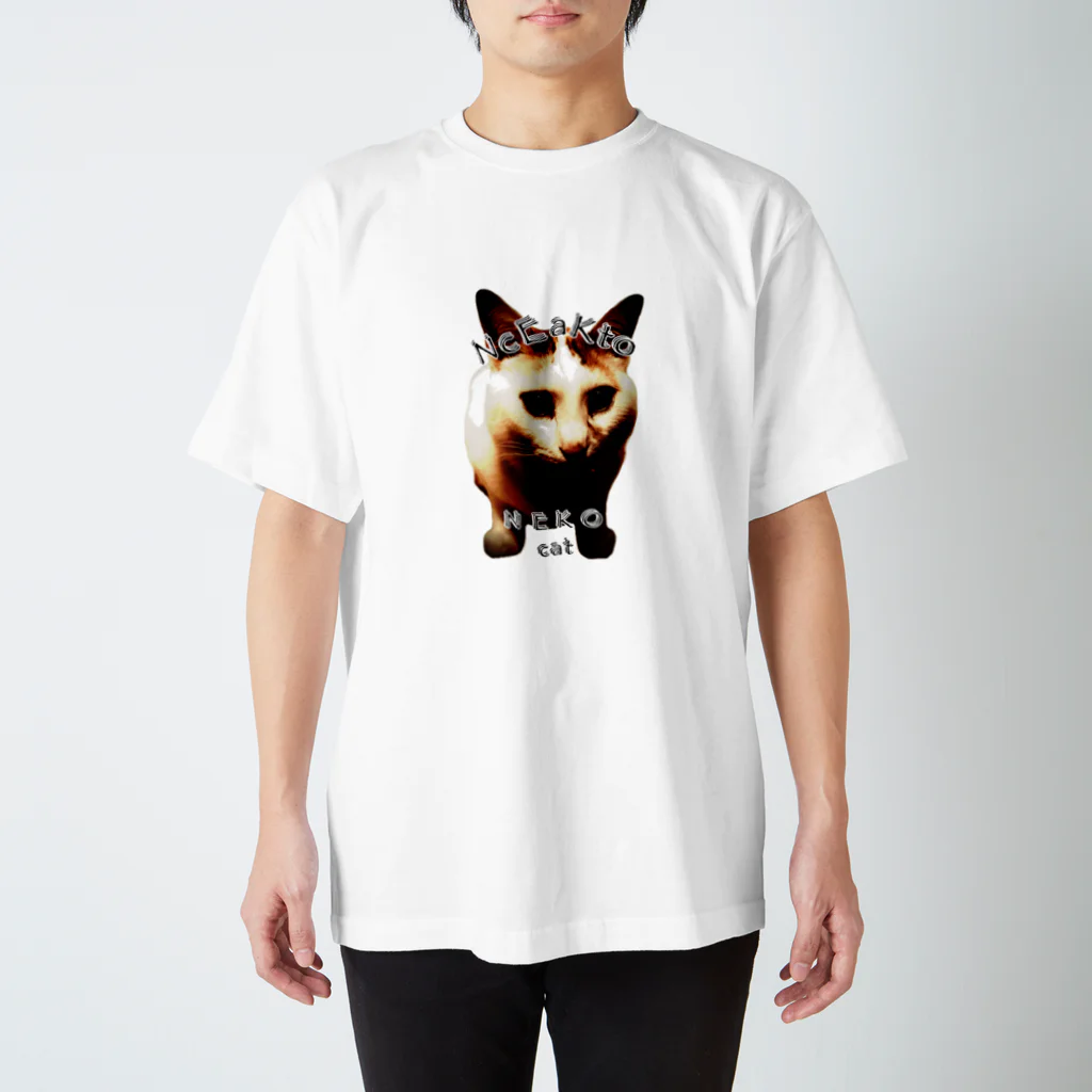 簡単ごめんなさいの猫t スタンダードTシャツ