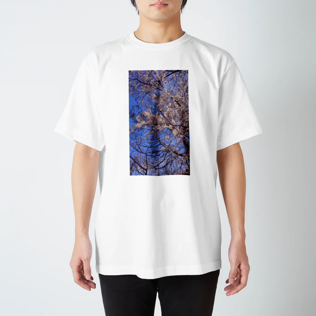 ULURU−Nのさくら　ao スタンダードTシャツ