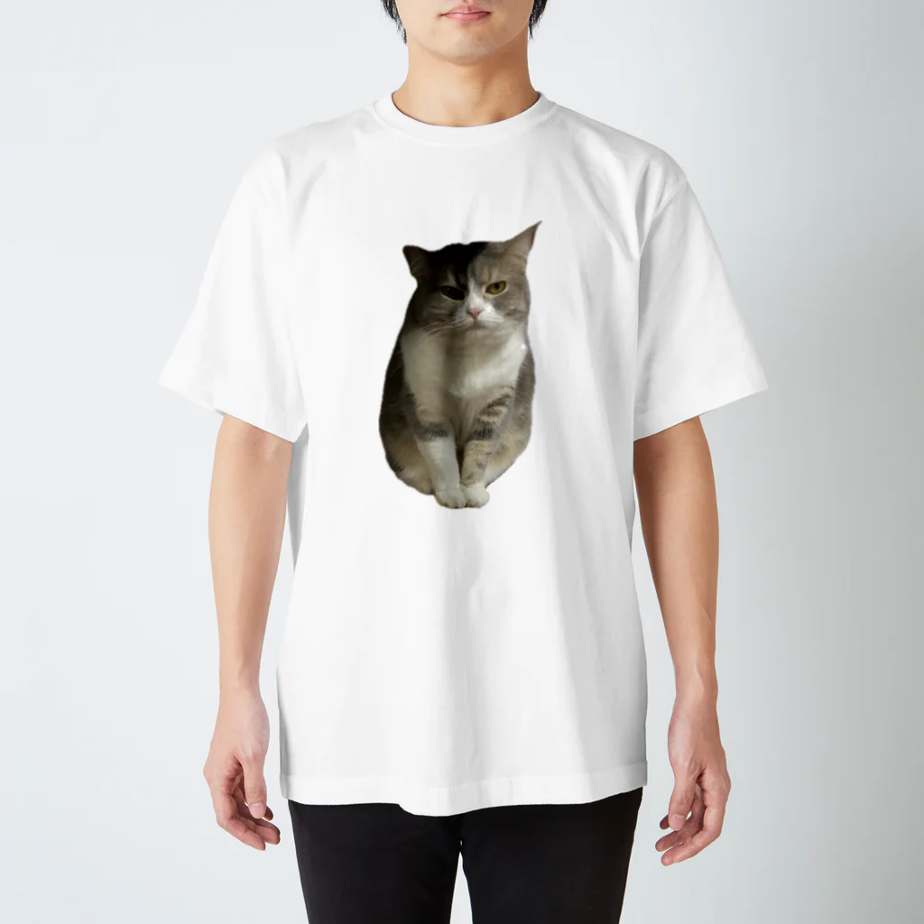 むっちり猫のむっちり丸の不機嫌な美猫 ミロ姫 Regular Fit T-Shirt