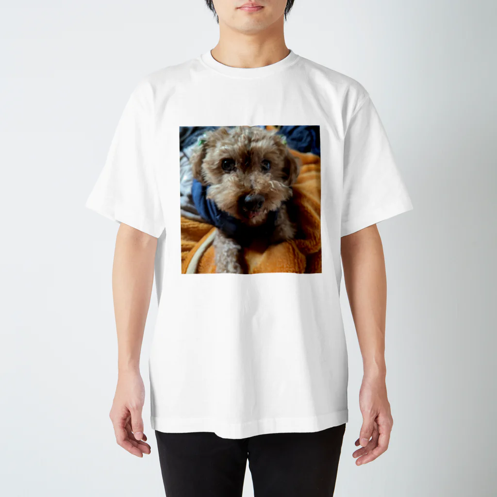 藤色の書斎のうちの犬がかわいい🐶 スタンダードTシャツ