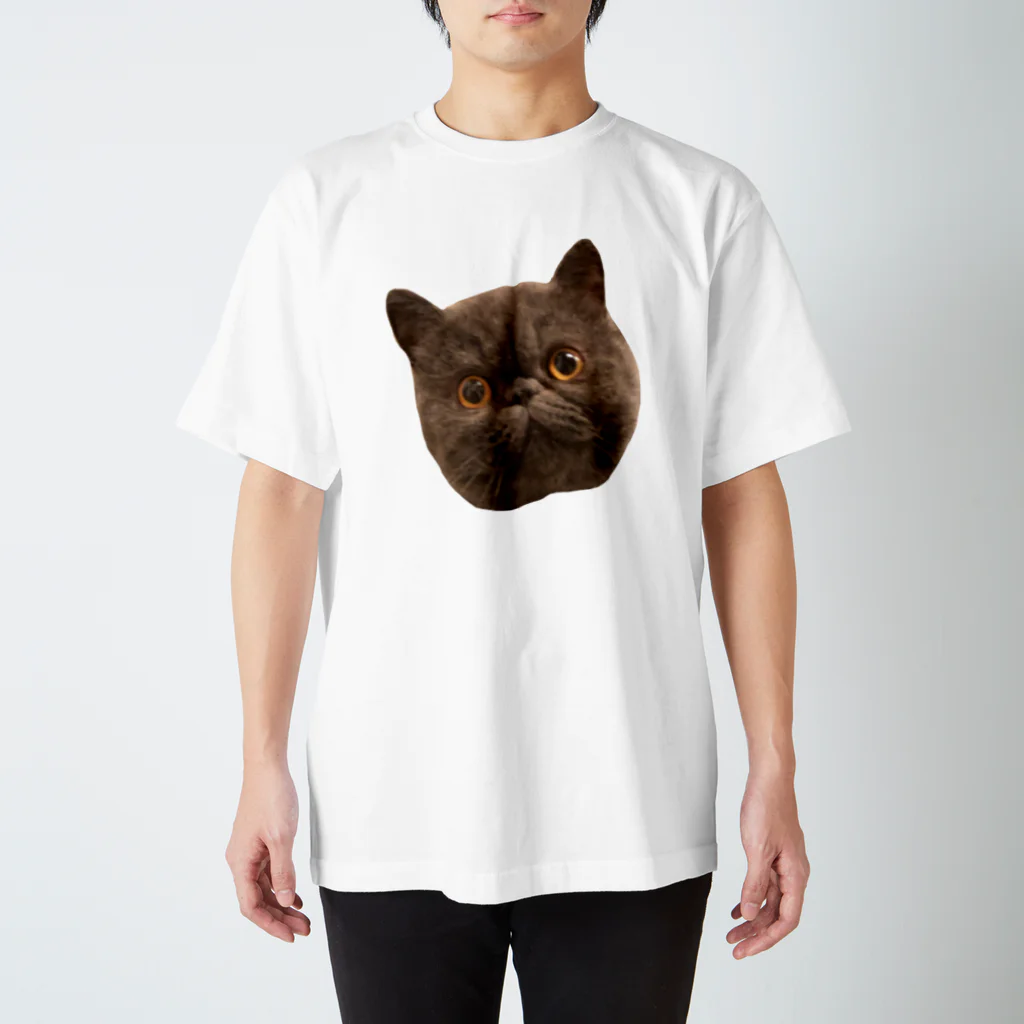 猫のRamuneストア(*ΦωΦ*)のramune スタンダードTシャツ