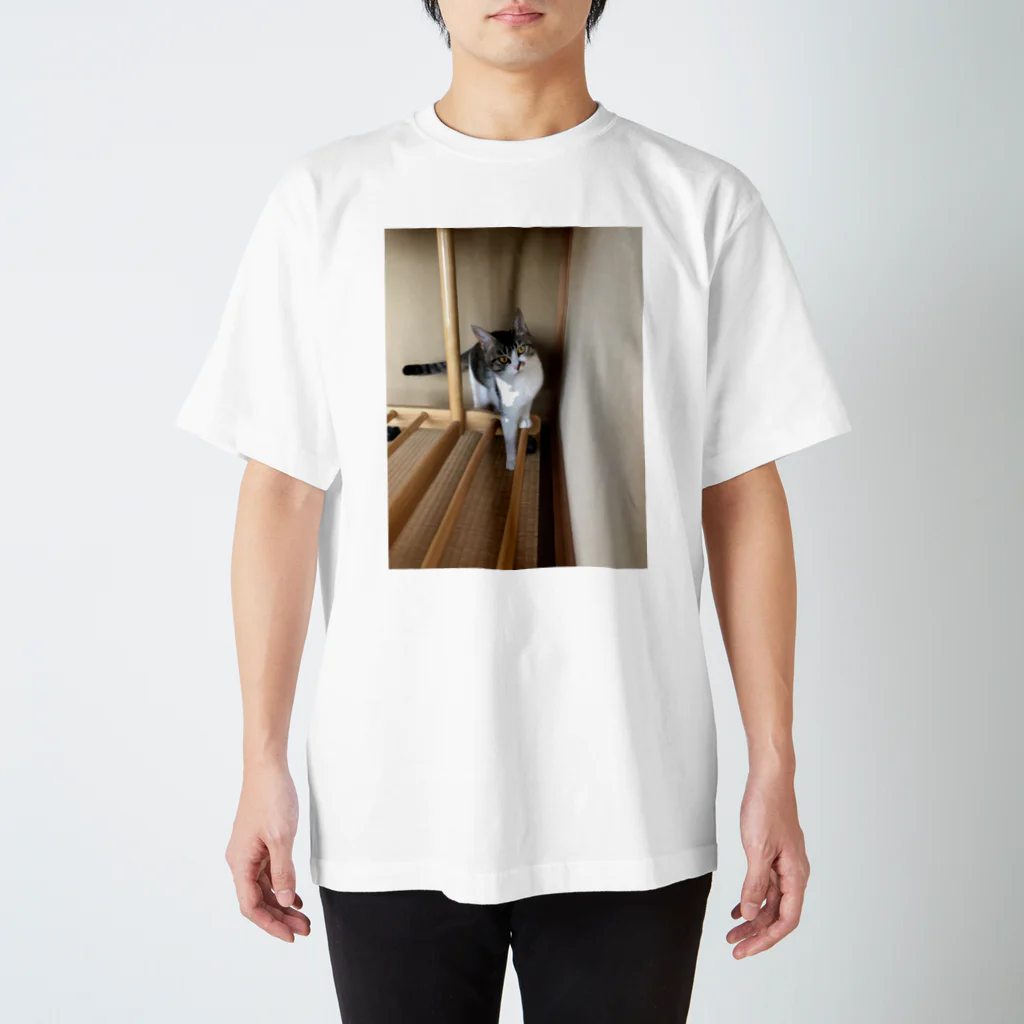 ちよロイドのミーコ Regular Fit T-Shirt