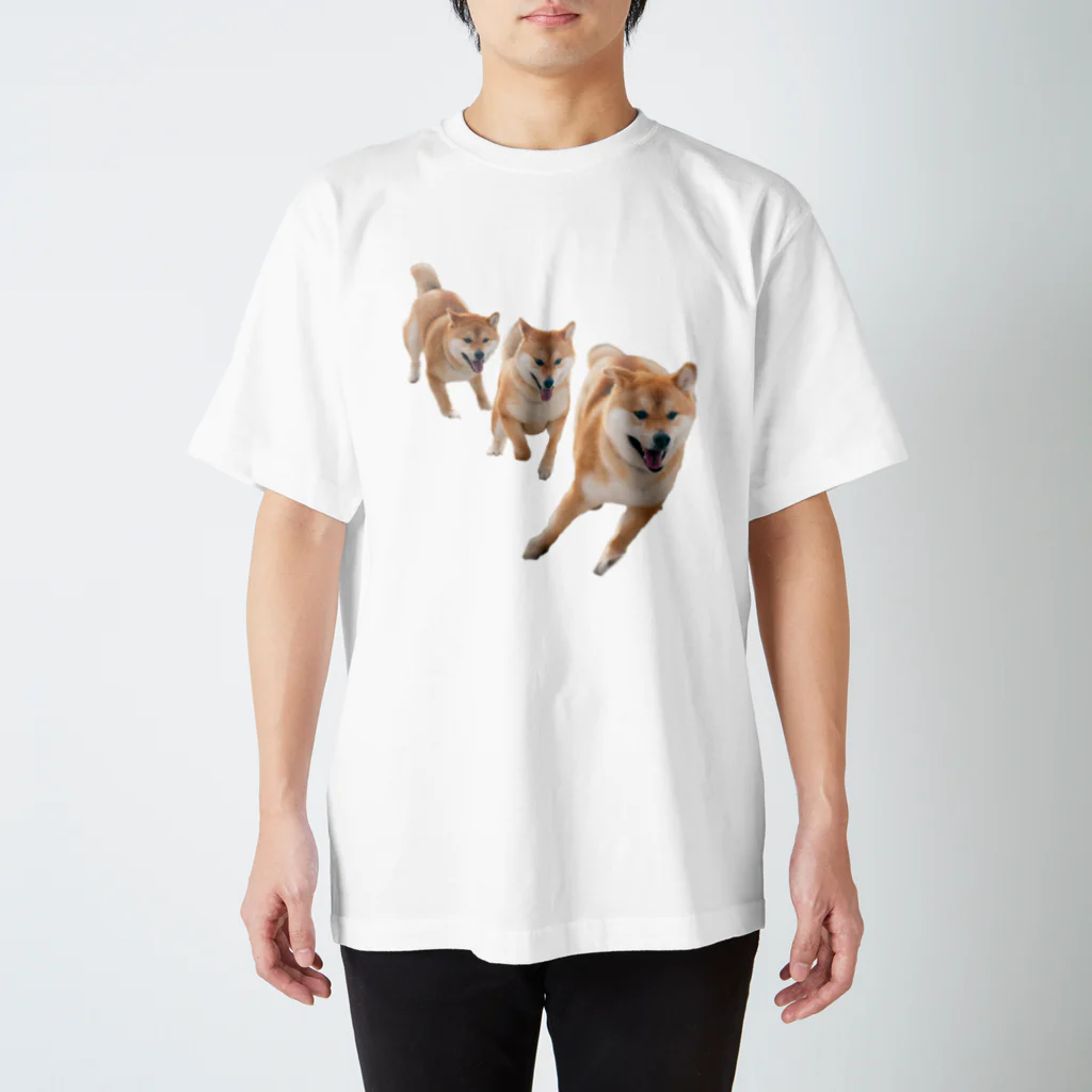 shibabawanの走る柴犬 スタンダードTシャツ