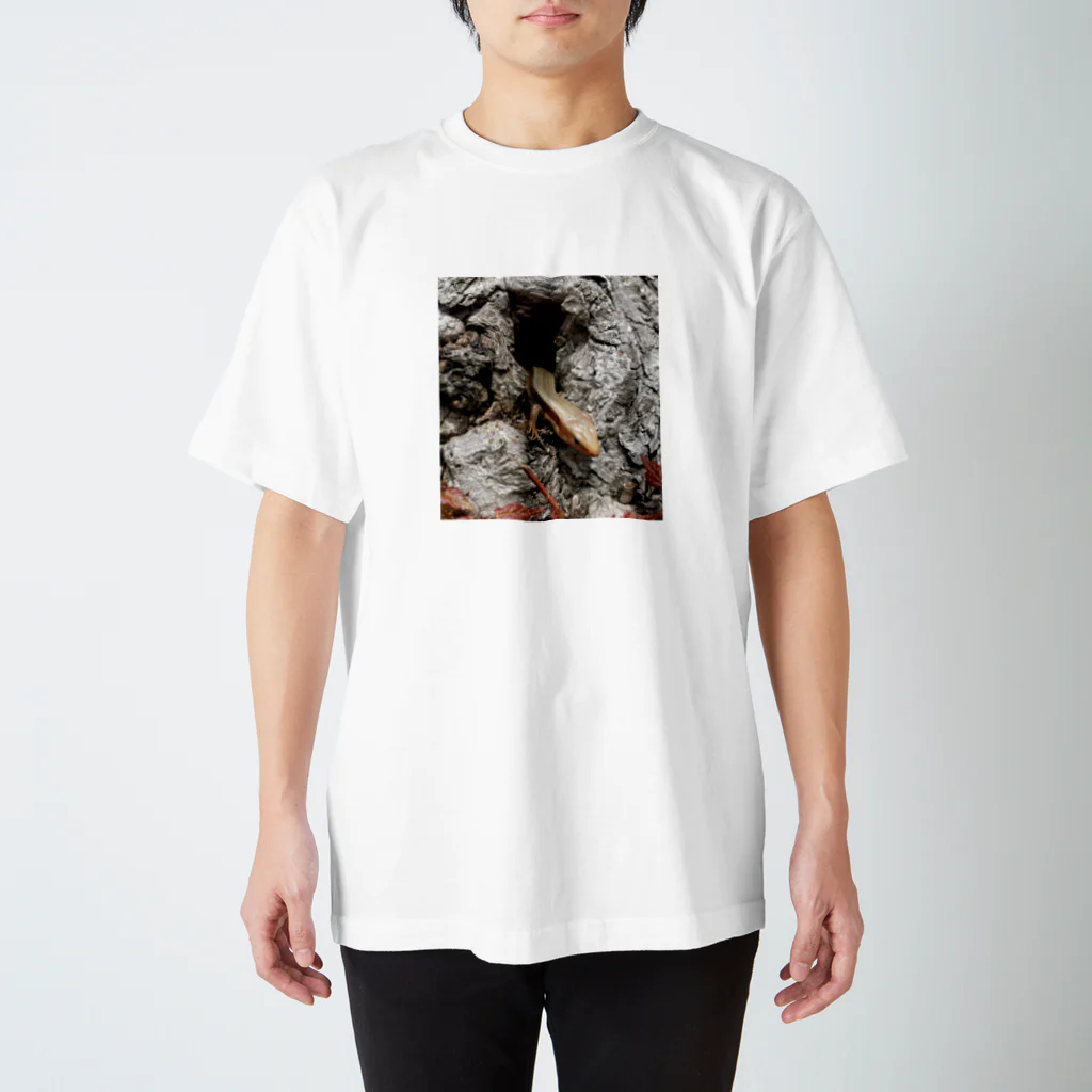 yuuyuu2024のカナヘビの目覚め Regular Fit T-Shirt