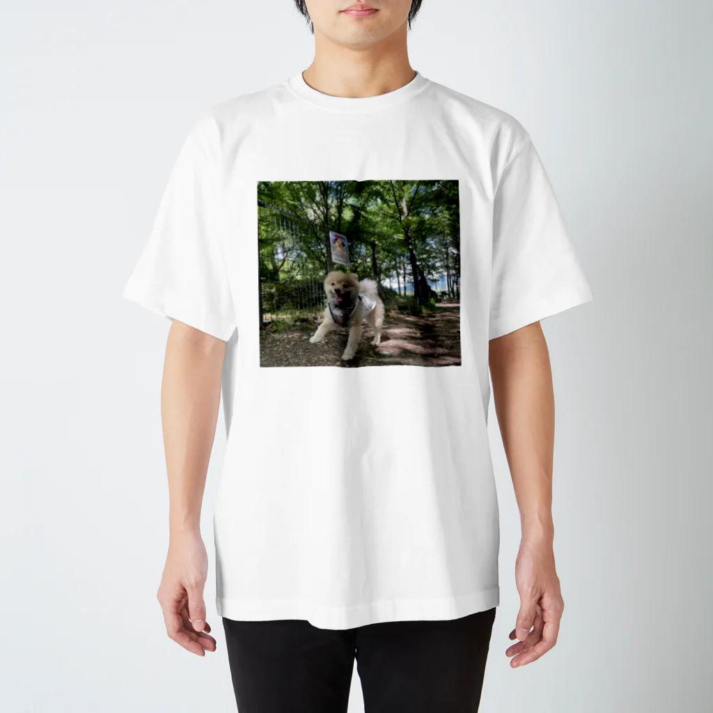 teの思い出の夏の日の犬 スタンダードTシャツ