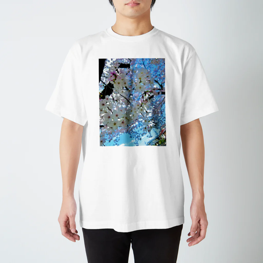 pio-japanのサクラspring スタンダードTシャツ