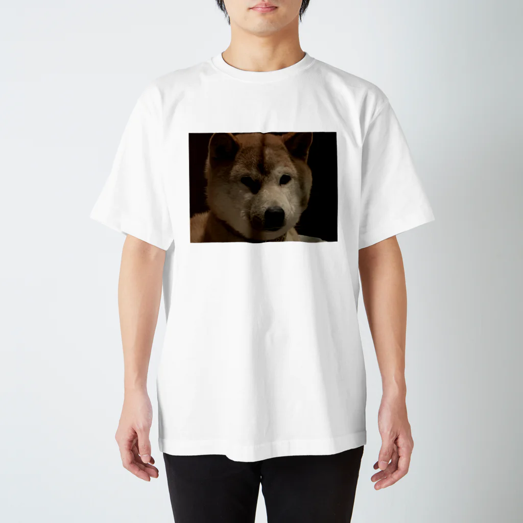 A_opal1のイッヌ🐶 スタンダードTシャツ