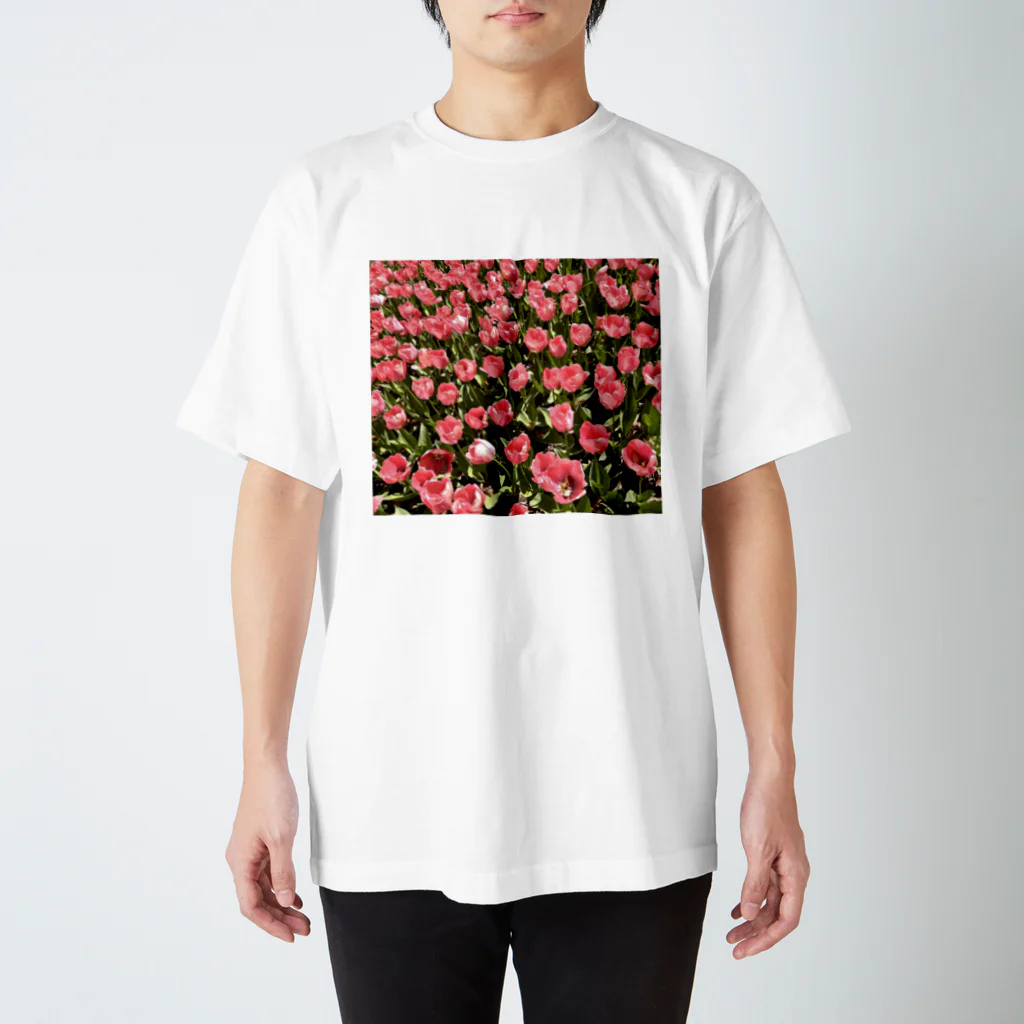 pio-japanのピンクtulip スタンダードTシャツ