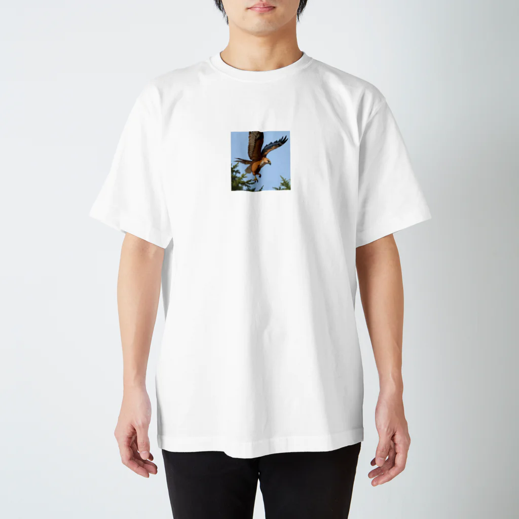 ganeshaの鳥の羽ばたきに続く鷹 Regular Fit T-Shirt