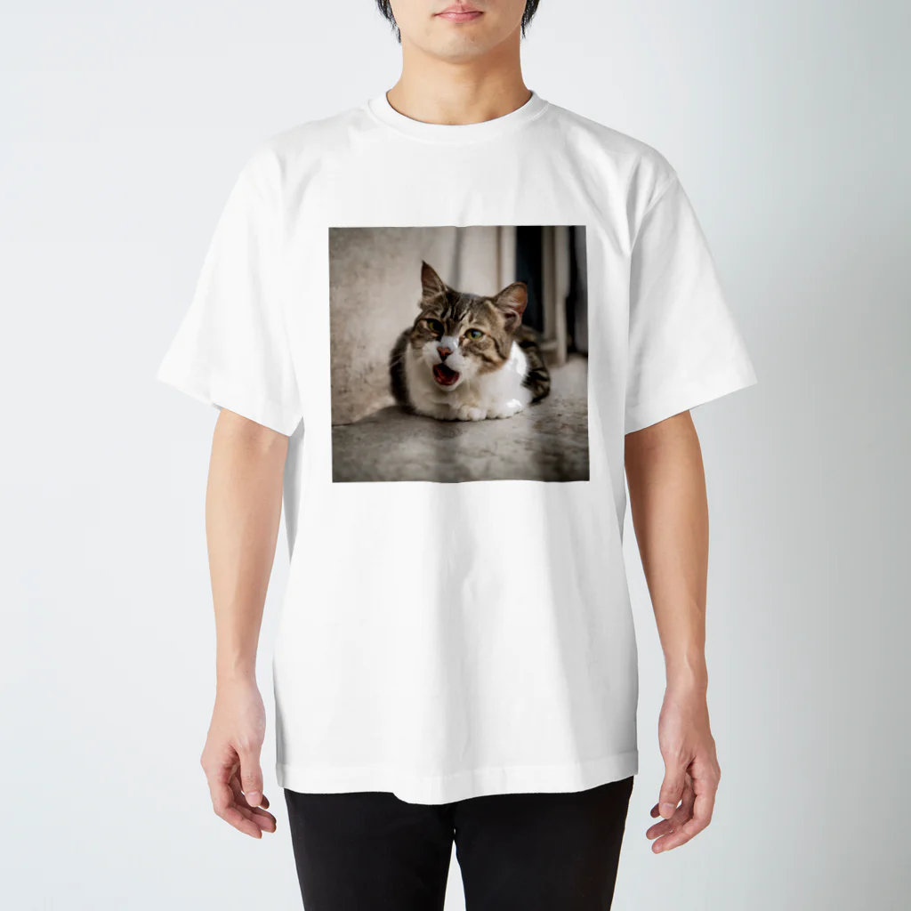 猫ちゃんショップの猫ちゃん スタンダードTシャツ