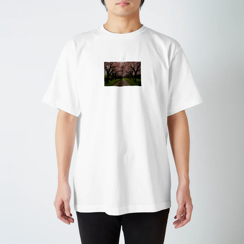 okiraku202の桜並木 スタンダードTシャツ