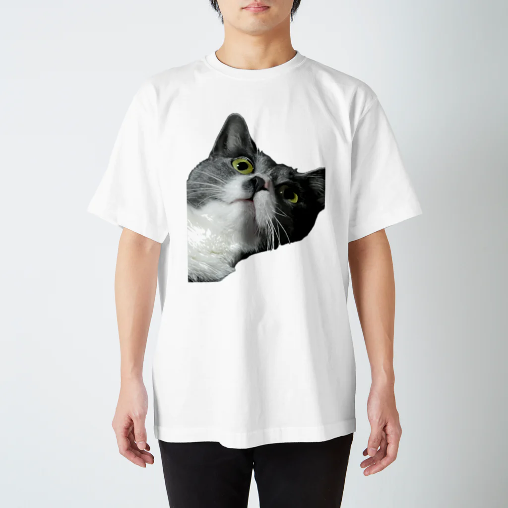 ねこねこねこねこのまままほちゃん スタンダードTシャツ