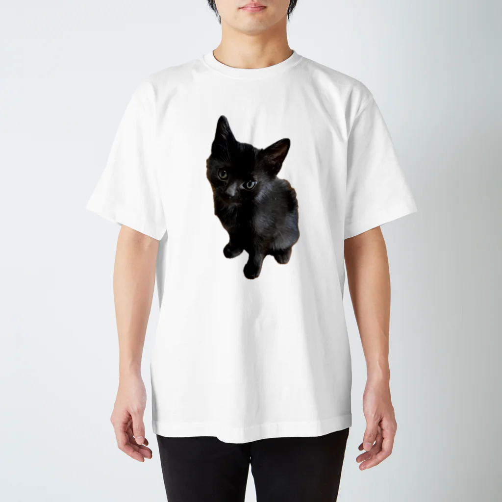 ねこねこねこねこのくーちゃん Regular Fit T-Shirt