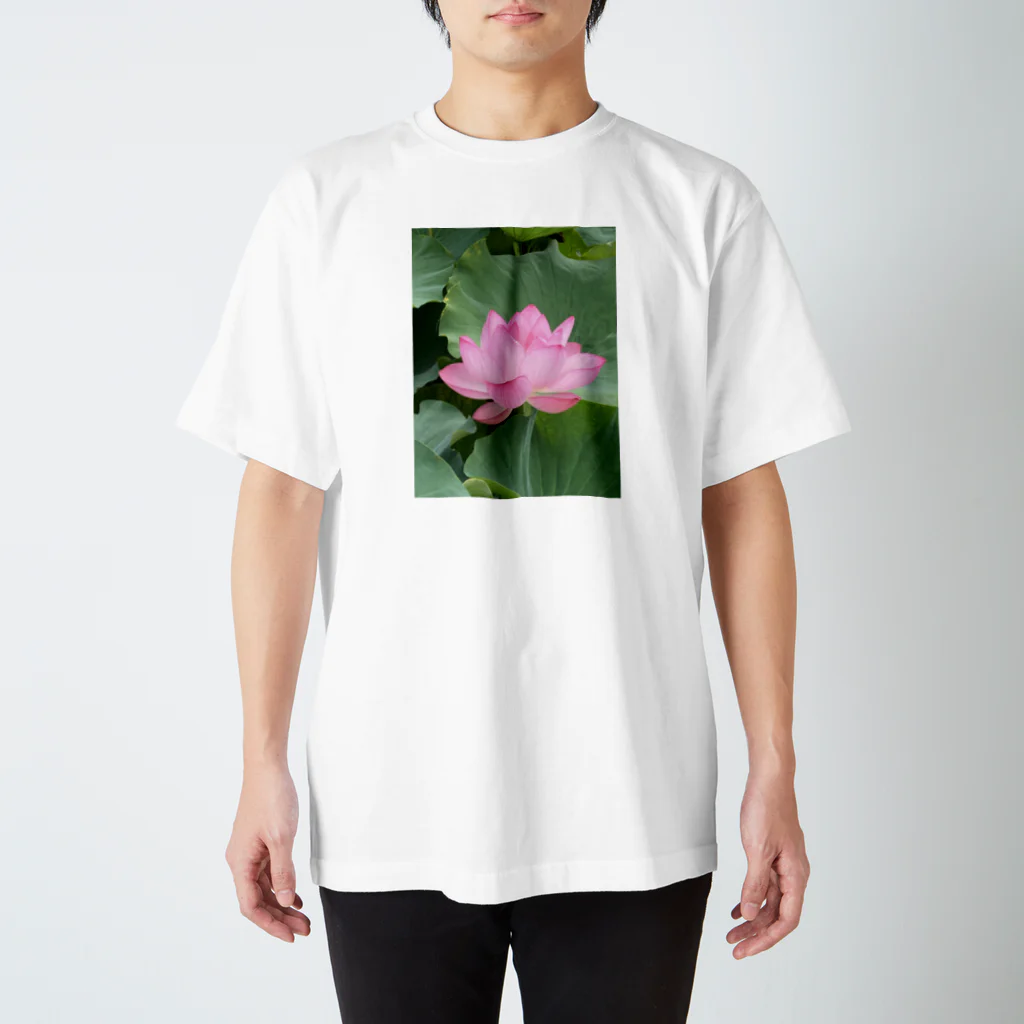 taocatのlotus flower スタンダードTシャツ