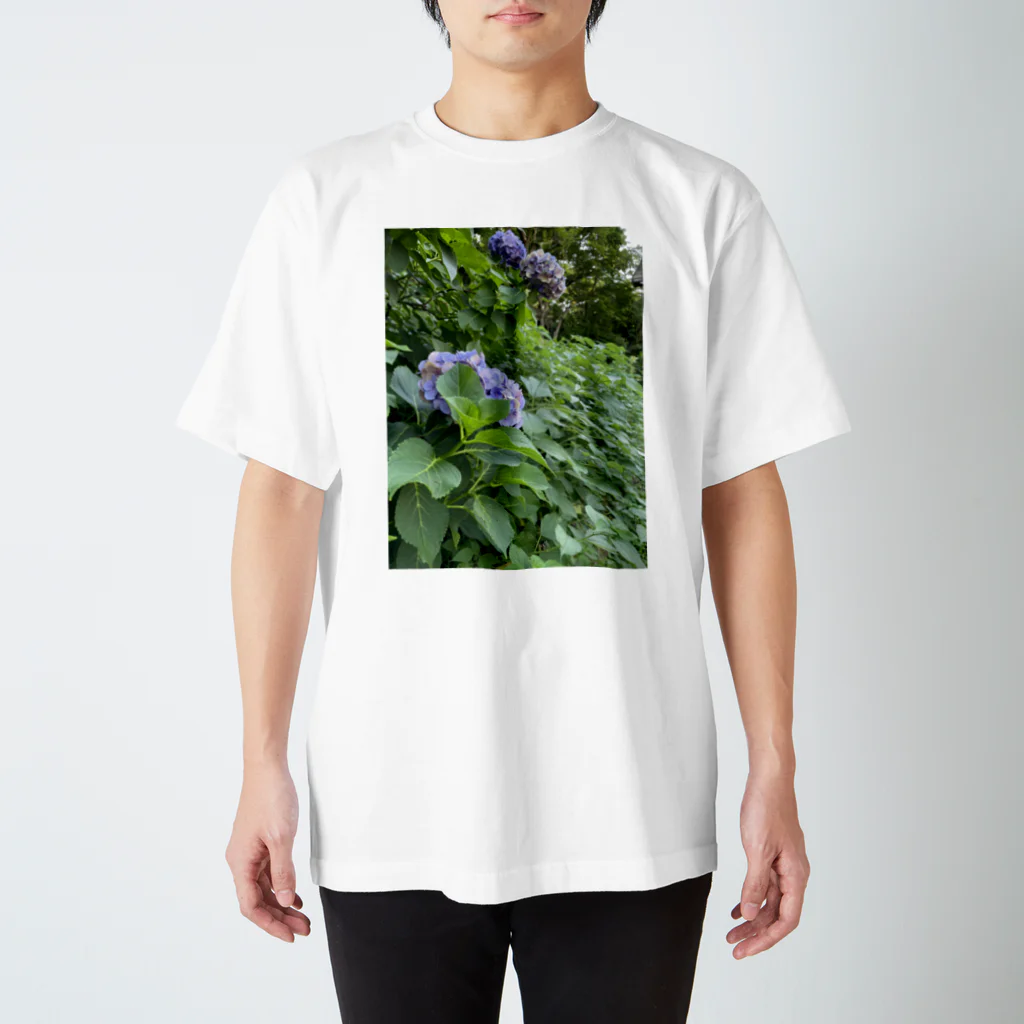 リングロングの紫陽花の絵　Tシャツ スタンダードTシャツ