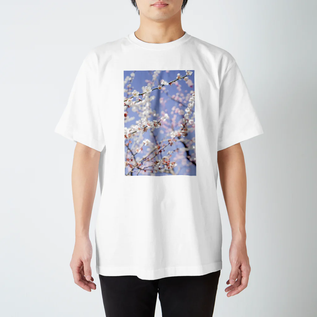 lumièreー光の梅の花 スタンダードTシャツ