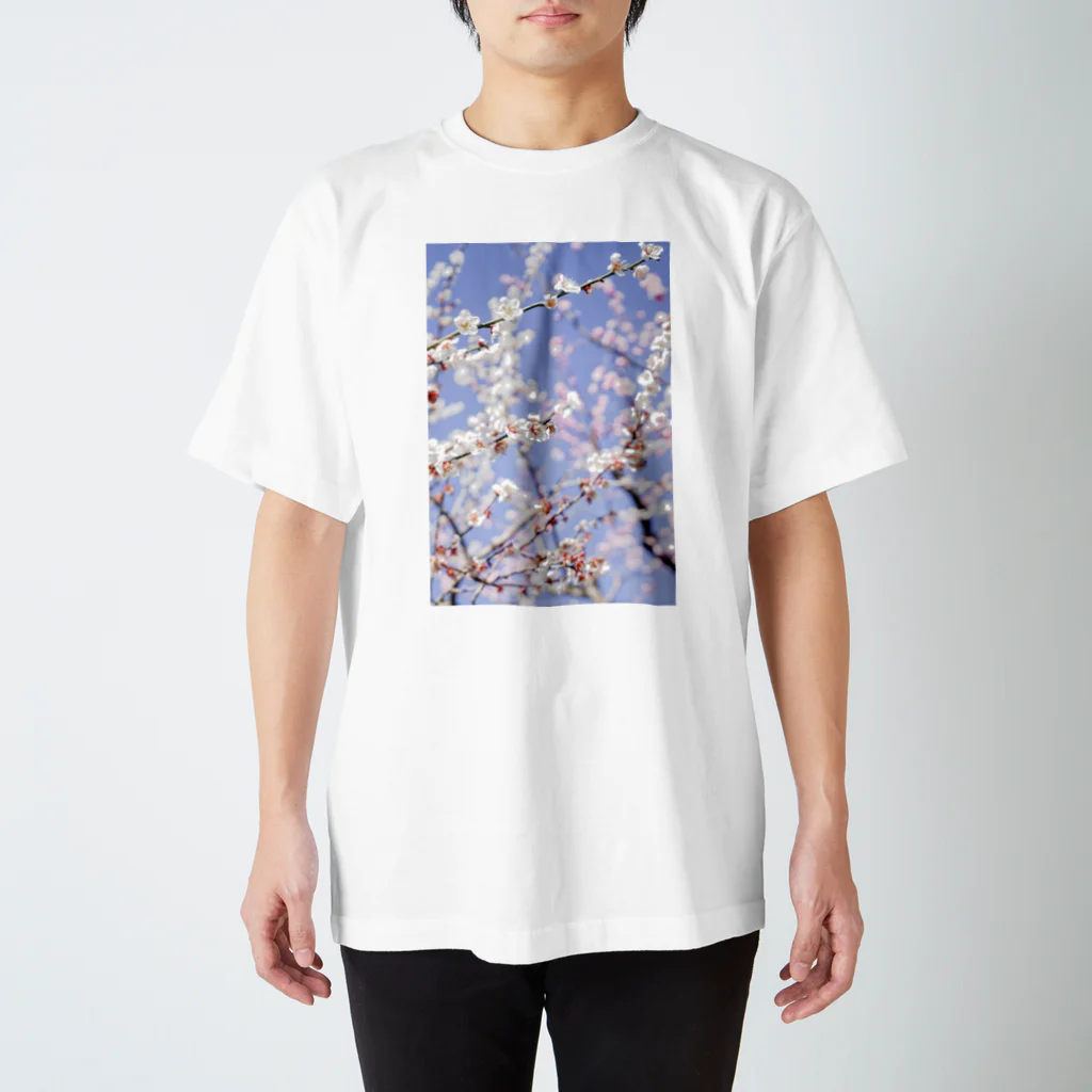 lumièreー光の梅の花 Regular Fit T-Shirt