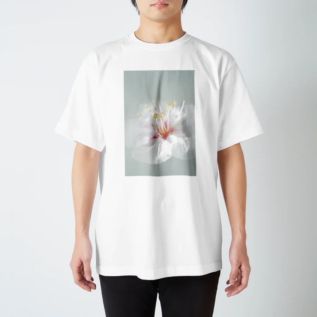 lumièreー光の桜Ⅲ スタンダードTシャツ