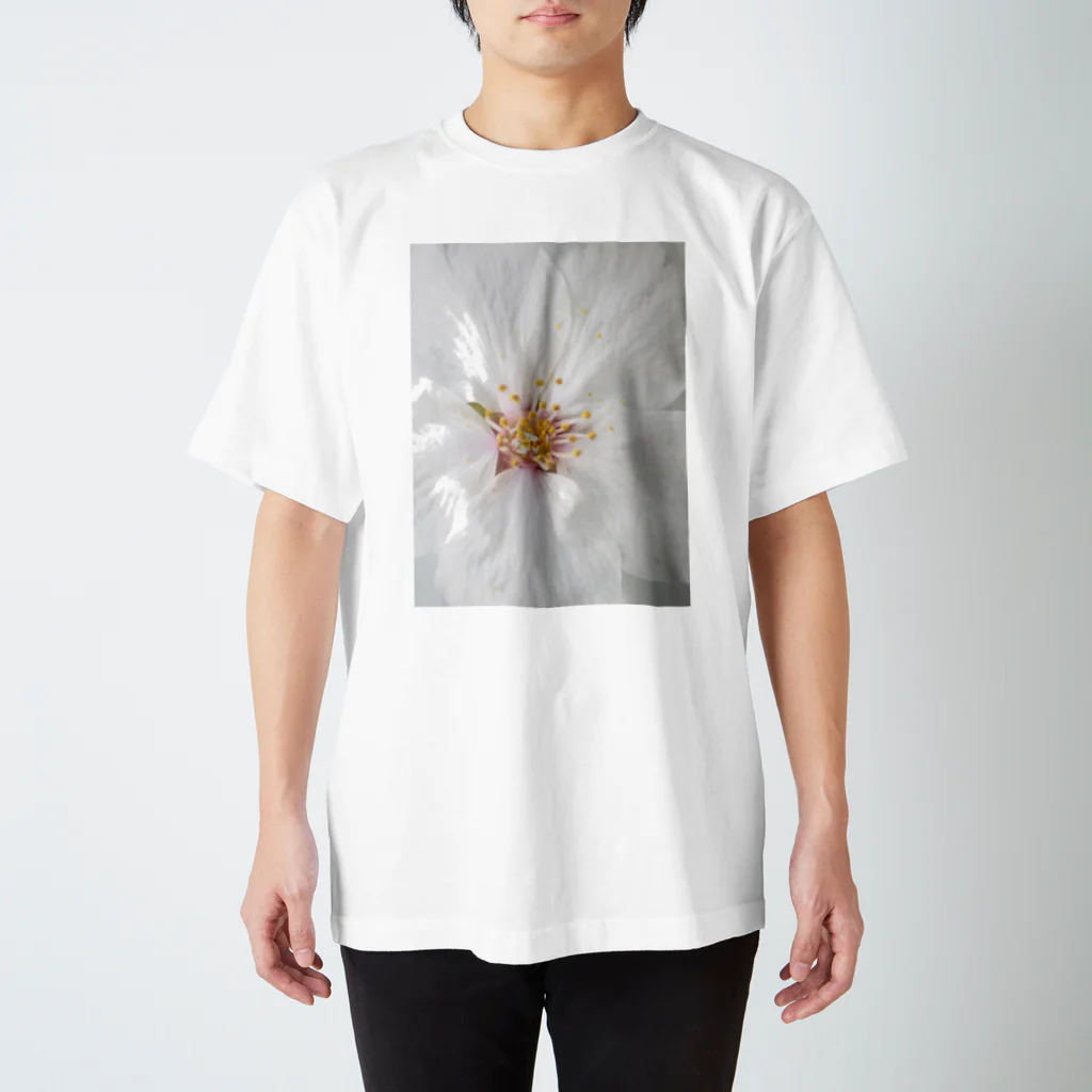 lumièreー光の桜Ⅳ Regular Fit T-Shirt