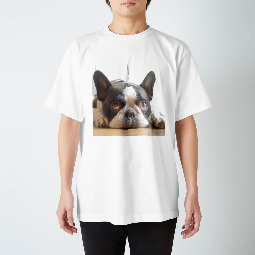 BUHI Shop ふれぶるルーくんのふれぶるルーくん スタンダードTシャツ