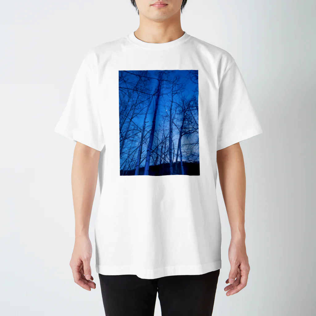 kayuuの神秘的な青い世界 Regular Fit T-Shirt