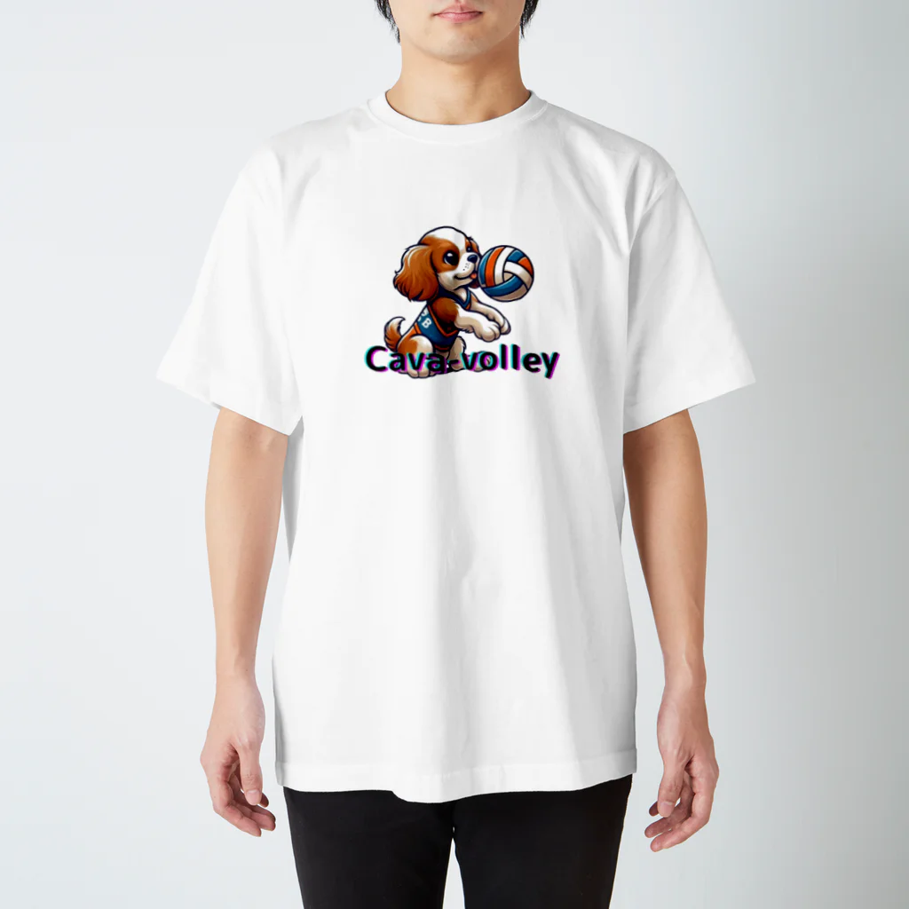 cava-sports　【キャバースポーツ】のcava-volley スタンダードTシャツ