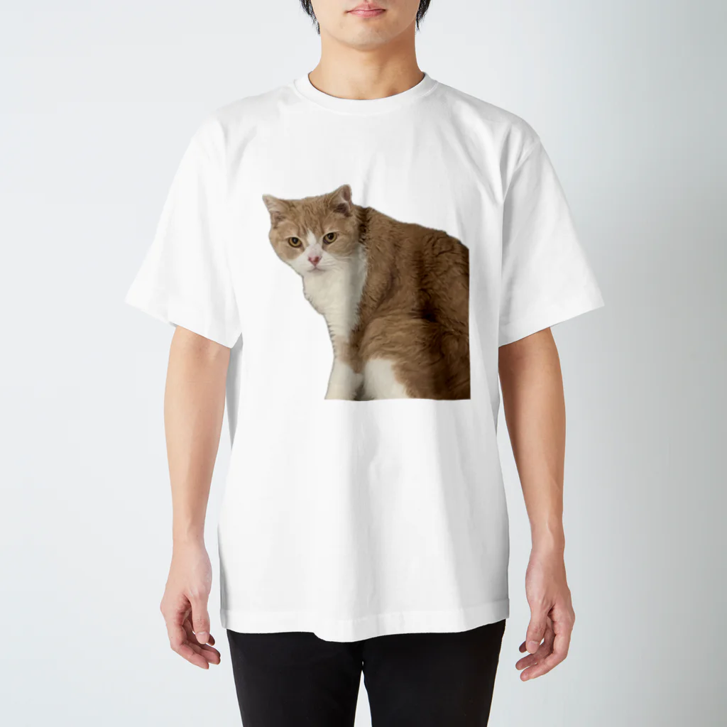 Mashlyのマシロくん猫グッズ Regular Fit T-Shirt