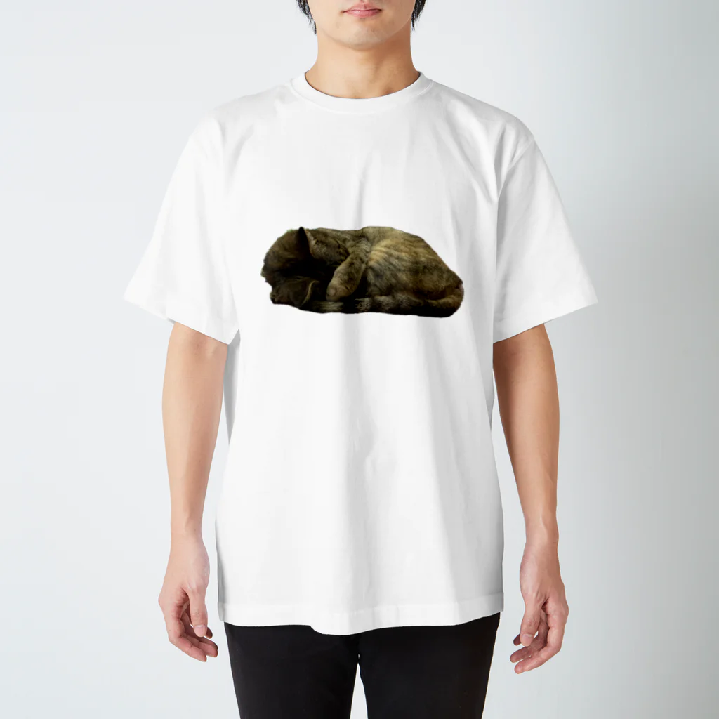 ジョリーマンダリンの眩しくて仕方ないキジトラ猫 Regular Fit T-Shirt