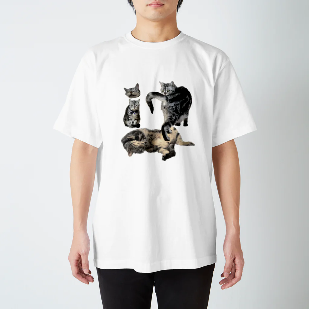 いぬねこだいすきくらぶの琉介5才記念T 文字なし版 スタンダードTシャツ
