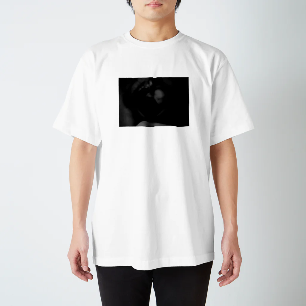 堕天使紺碧遺影⭐︎の瞳孔 スタンダードTシャツ