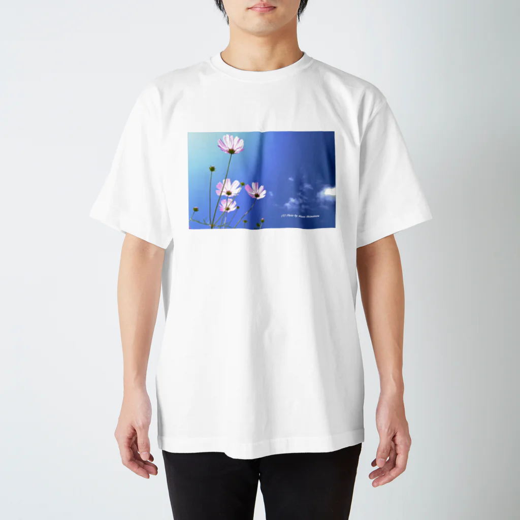 KazuphotographyのKazuphotography スタンダードTシャツ