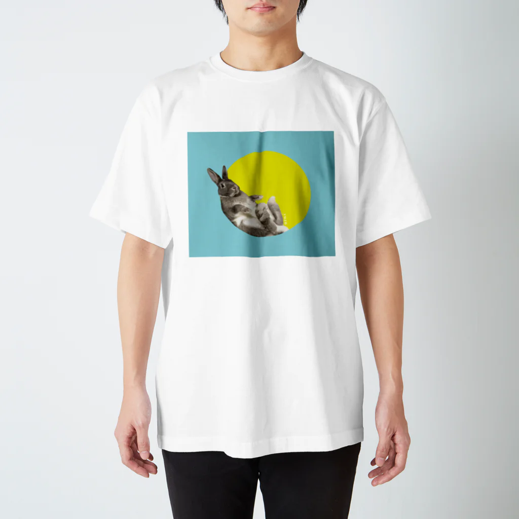 kawano_lonの満月だっこゆずくん_クッション スタンダードTシャツ