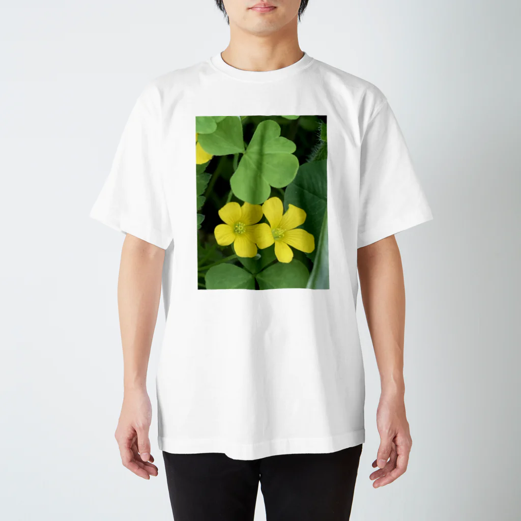 たーどの黄色い花 スタンダードTシャツ