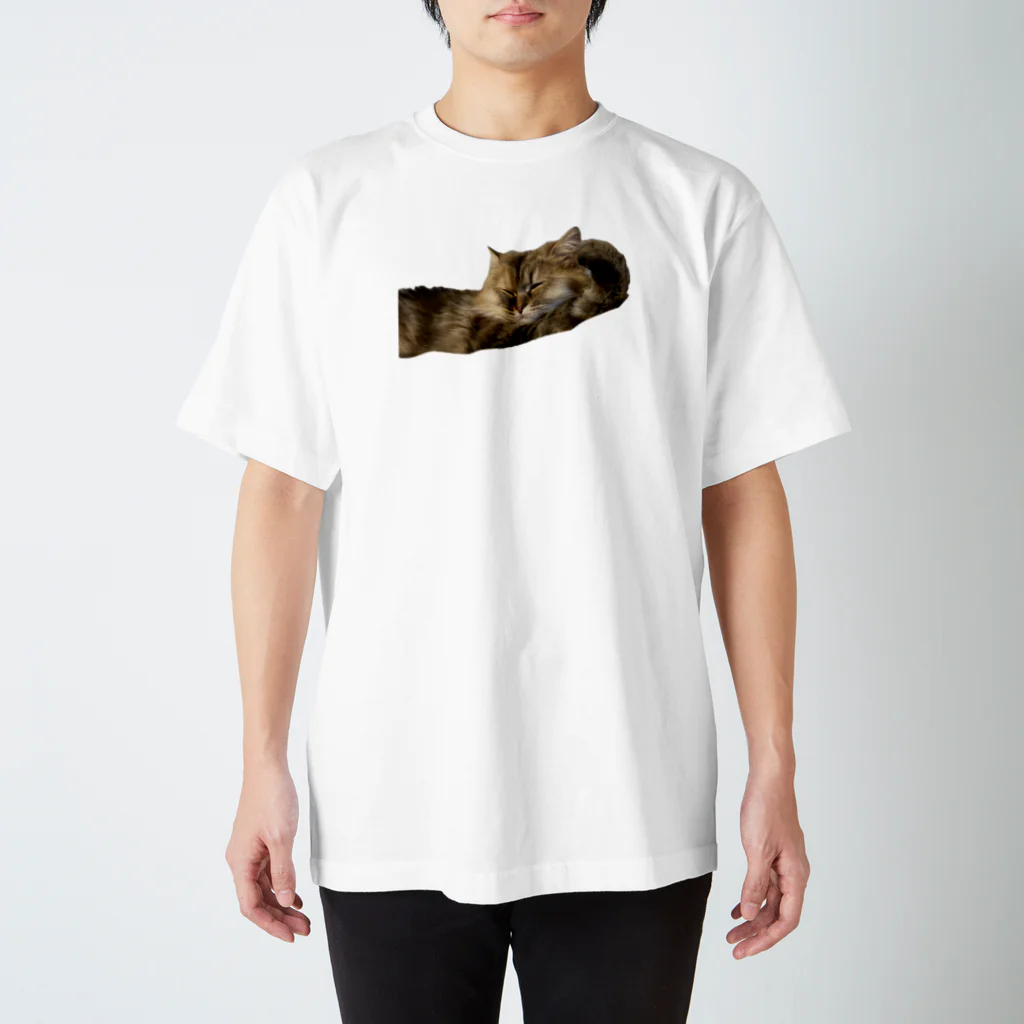 うちの猫ちゃんたちの熟睡このは_No.1 Regular Fit T-Shirt