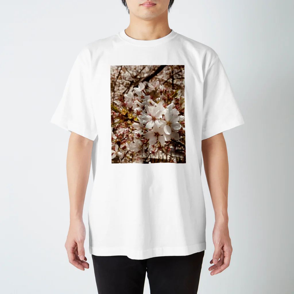 koikoi shop@suzuri店のおもいでのなかの桜 スタンダードTシャツ