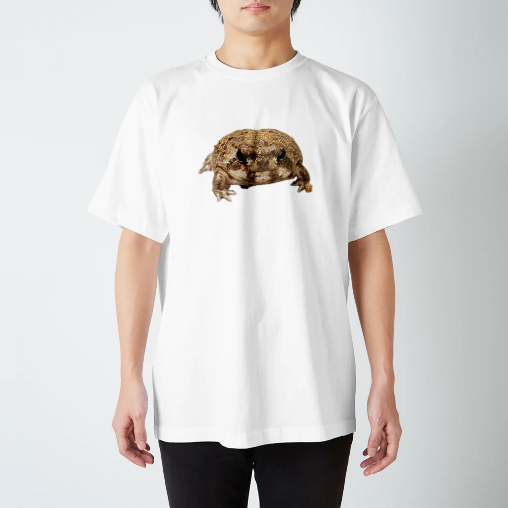 gecomochi0419のアメフクラガエルのげこもちくん Regular Fit T-Shirt