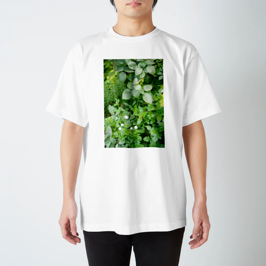 capture hidamariのplant capturing 1  Regular Fit T-Shirt