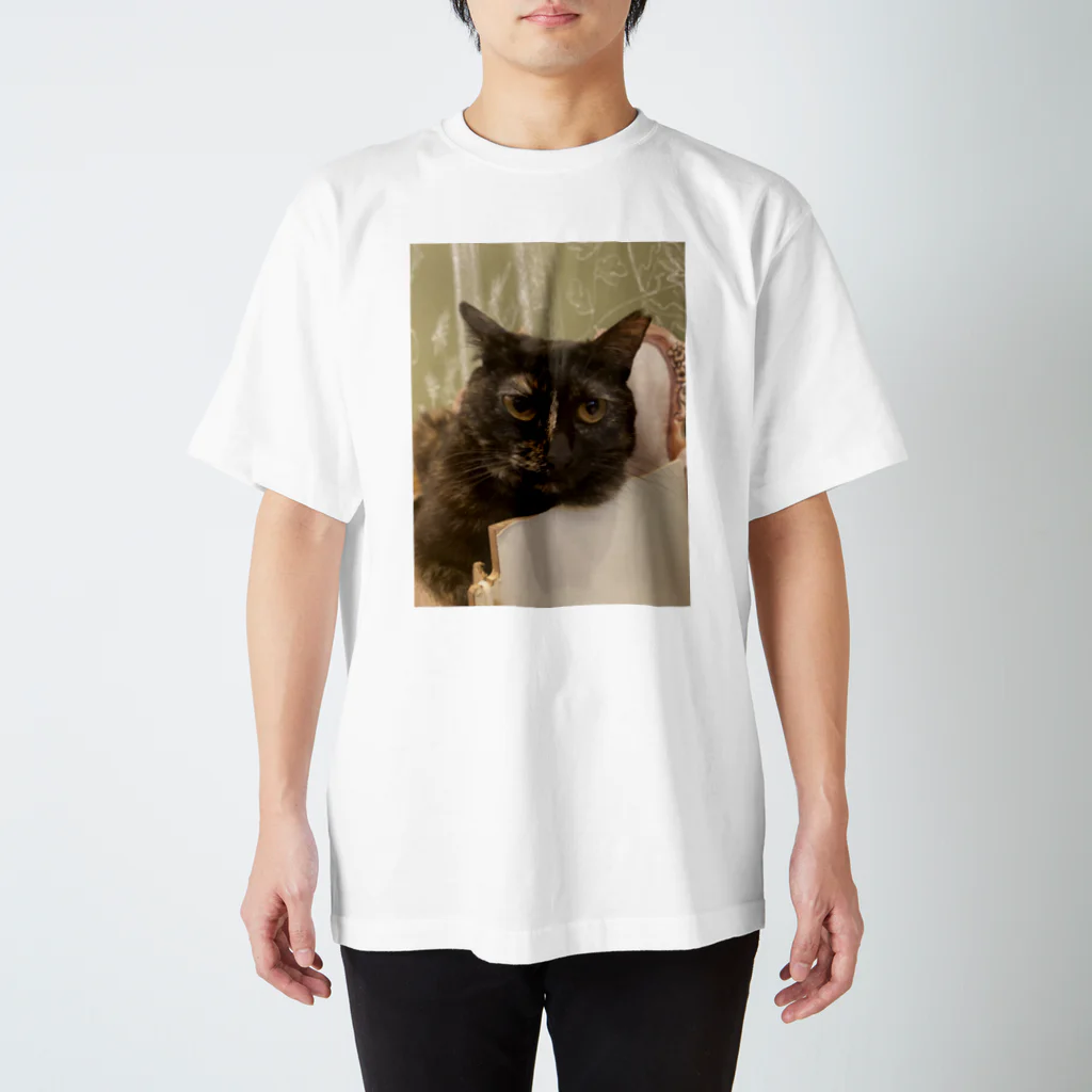 zonotownのねこにゃんにゃん Regular Fit T-Shirt