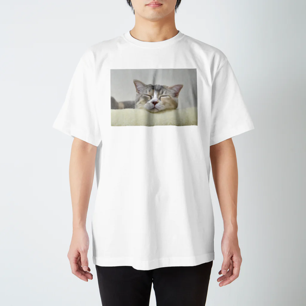 ひのはらくみの子猫の寝顔 スタンダードTシャツ