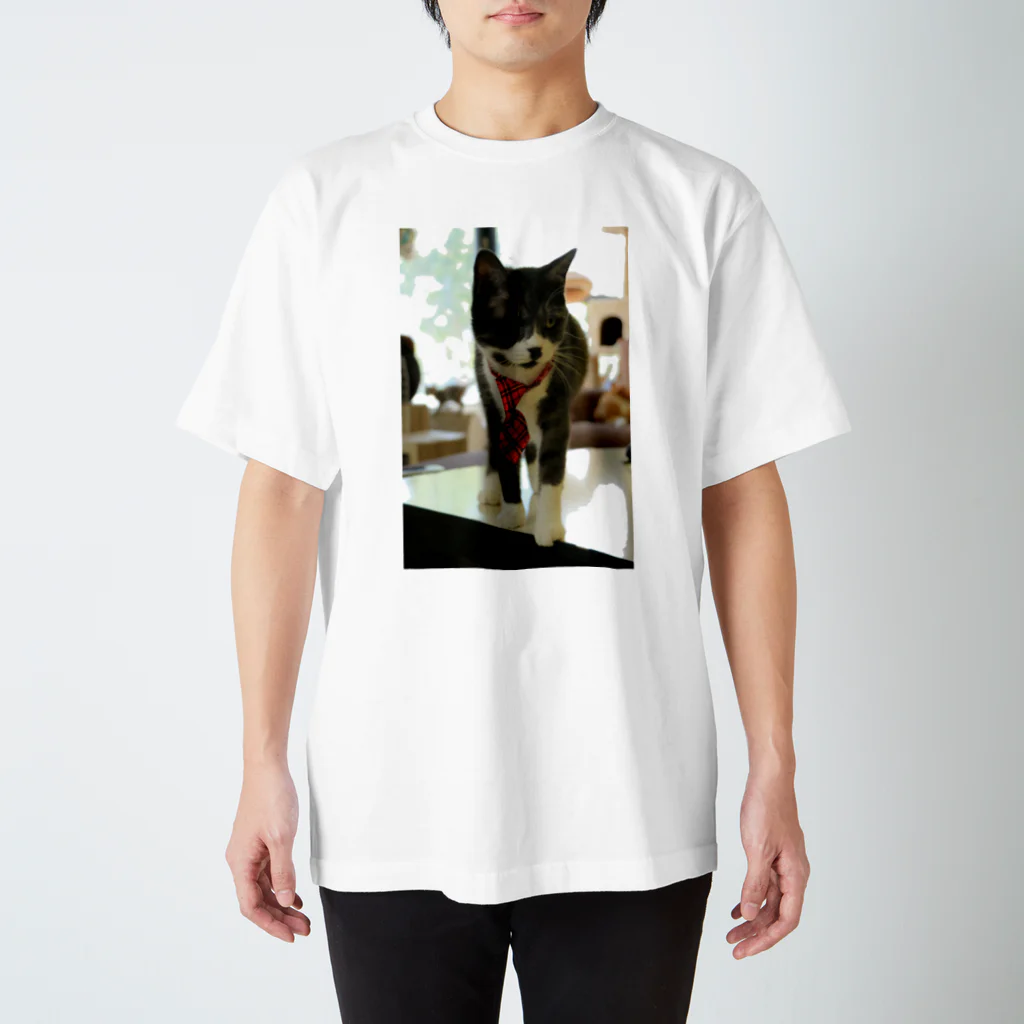 あんぢゅ家の猫のネクタイちょーこー スタンダードTシャツ