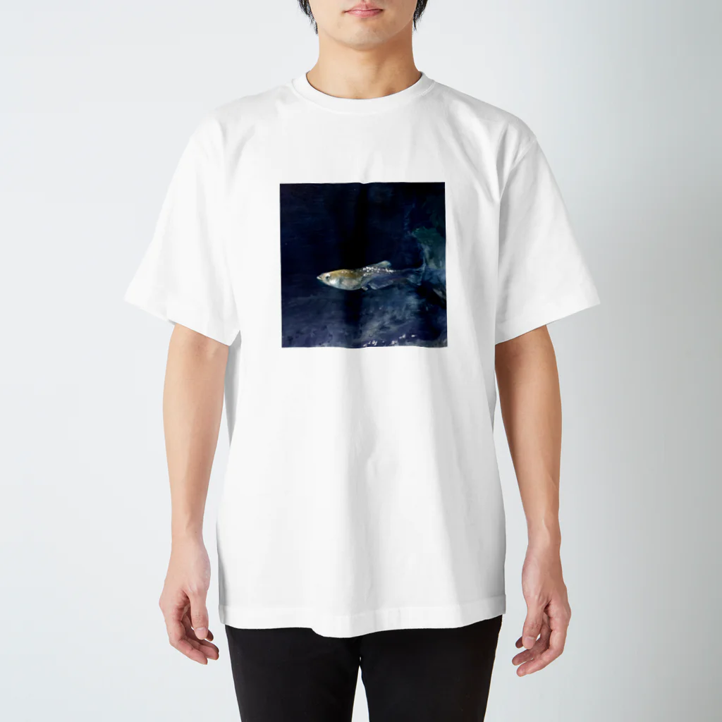 白紙のラメめだか Regular Fit T-Shirt