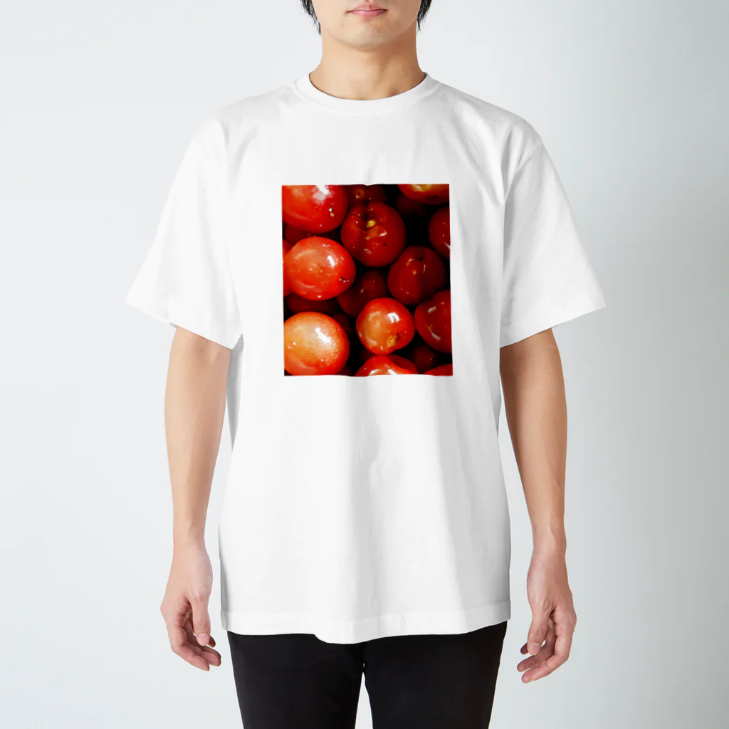 nijiirosorausagiの美味しいさくらんぼ  うさぎの畑 スタンダードTシャツ