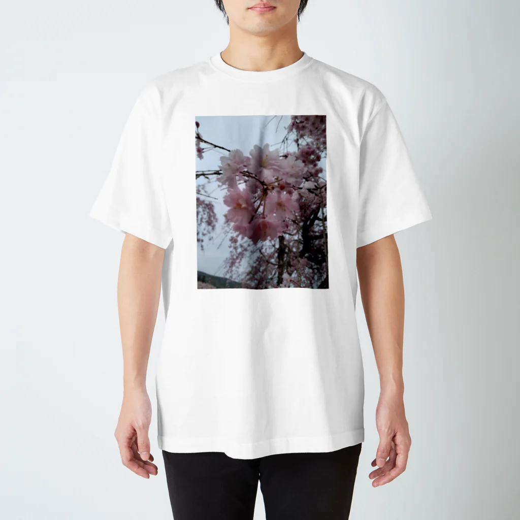 umejirouのさくら満開 Regular Fit T-Shirt