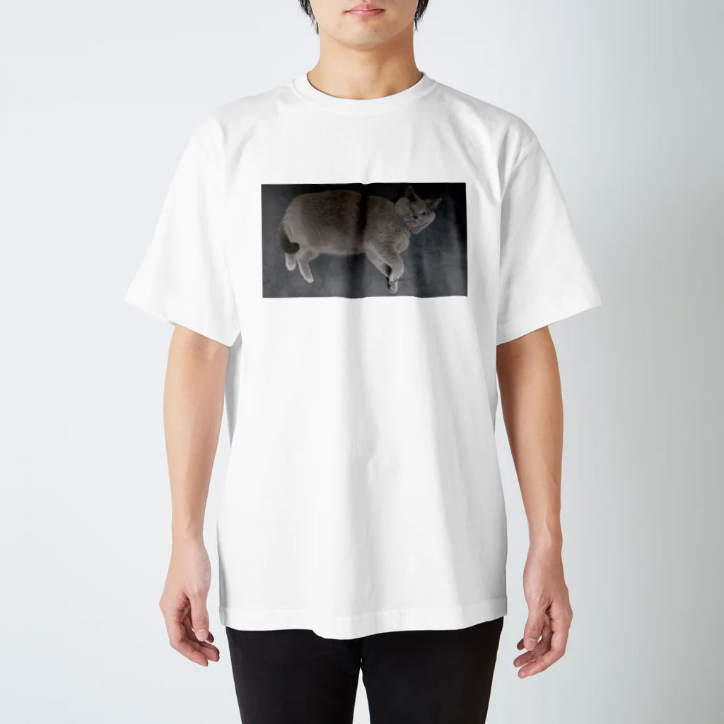 peachieのシャルトリューのGrico Regular Fit T-Shirt