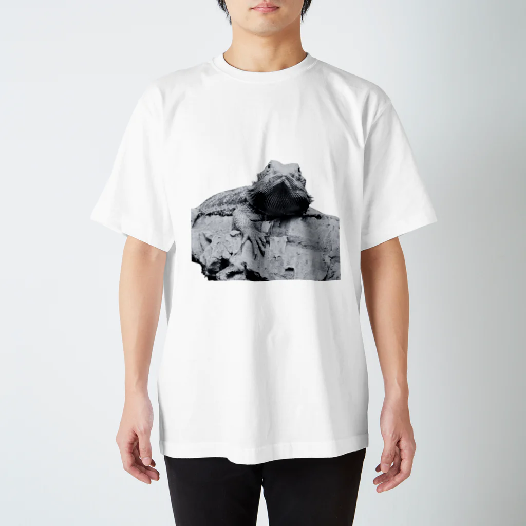 chiru×2のキメ顔フトアゴヒゲトカゲ Regular Fit T-Shirt